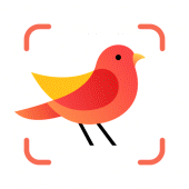 Picture Bird - Bird Identifier Apk