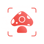 Picture Mushroom - Mushroom ID Apk