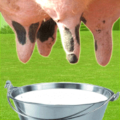 Farm Milk The Cow Apk