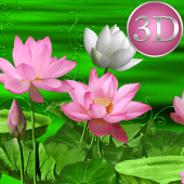 Lotus Flower 3D Next Launcher theme Apk