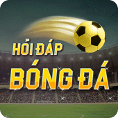 Hoi Dap Bong Da Apk