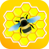 Honeygain Earning Cash Guide Apk