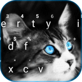 Blue Eye Kitty Cat Keyboard Theme Apk