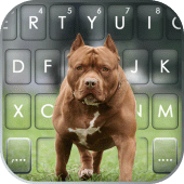 Cool Pitbull Keyboard Background Apk