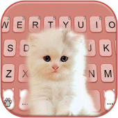 Fluffy Innocent Cat Keyboard Background Apk