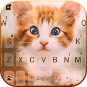 Ginger Kitten Keyboard Background Apk