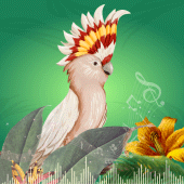 Animal Sound Ringtones Apk