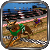 Crazy Real Dog Race: Greyhound Racing Game Apk