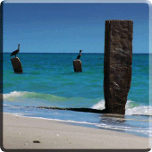 Beach Video Live Wallpaper Apk