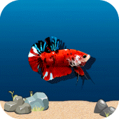 Flappy Betta Apk