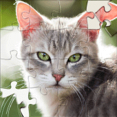 HD Jigsaw Puzzles Sorting Game Apk