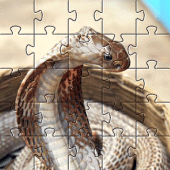 Cobra jigsaw puzzles games Apk