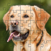 Dogs jigsaw puzzles Apk