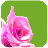 Good Morning Photo Frames Apk