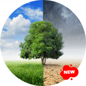 Clima en Mexico Apk