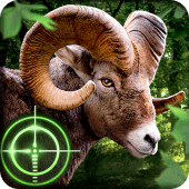 Wild Hunter 3D Apk