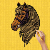 How to Draw Horses Easy lesson Apk