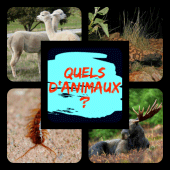 Quels D’Animaux? Apk