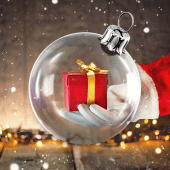 PiP Christmas Camera Apk