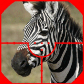 ZEBRA HUNTER Apk