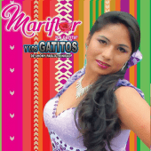 Mariflor la Gatita Apk