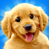 Talking Dogs Apk