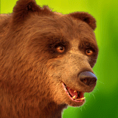 Talking Bear Apk