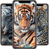 Leopard Wallpaper Apk