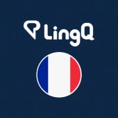 LingQ - Learn French Apk