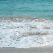 Real Ocean Live Wallpaper Apk