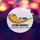 Radio Shofar Apk