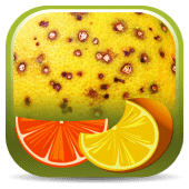 Citrus Diseases Key Apk