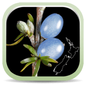 NZ Coprosma Key Apk