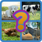 Guess The Animal Apk