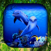 Dolphin Wallpaper Live HD/3D Apk