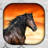 Horse Wallpaper Live HD/3D/4K Apk