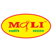 Mali Seeds Apk