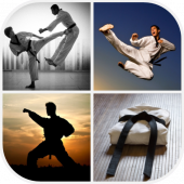 Martial Arts Wallpaper Apk