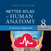 Human Anatomy Atlas Apk