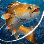 Fishing Hook Apk