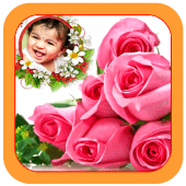 Colorful Flowers Photo gallery Apk