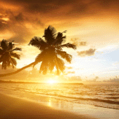 Beach HD Wallpapers Apk