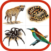 Wildlife Southern Africa Apk