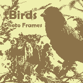 Birds Photo Frames Apk