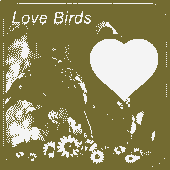 Love Birds Photo Frames Apk