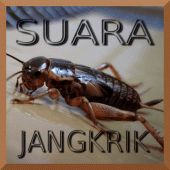 Kumpulan Suara Jangkrik Apk