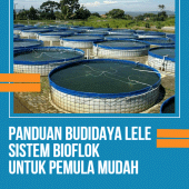 Panduan Budidaya Lele Bioflok Apk