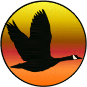 Wingmaster Waterfowl Hunting Apk