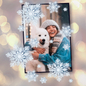 Winter Photo Frames Apk