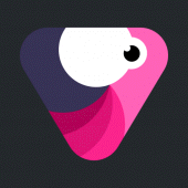 Velomingo: Velocity Edit Maker Apk